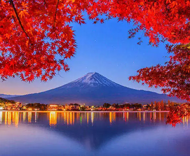 Journey to Timeless Japan — 9 Days of Culture